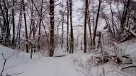 Ориентирование на лыжах Ориентирование на лыжах